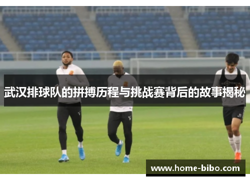 武汉排球队的拼搏历程与挑战赛背后的故事揭秘
