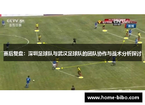 赛后复盘：深圳足球队与武汉足球队的团队协作与战术分析探讨